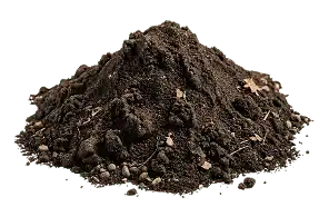 Земля